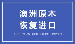 澳洲原木恢复进口