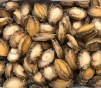 【食品进口】海参、鲍鱼等海味干货报关指南