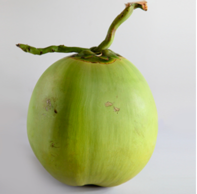 椰青进口.png