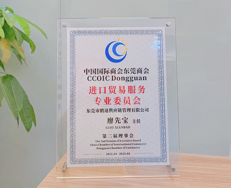中国国际商会东莞商会-进口贸易服务专业委员会