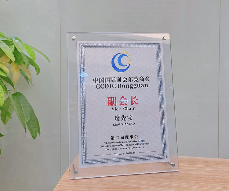 中国国际商会东莞商会-进口贸易服务专业委员会