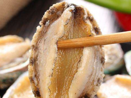 冷冻鲍鱼佛山通关代理,鲍鱼通关代理,冷冻鲍鱼佛山通关