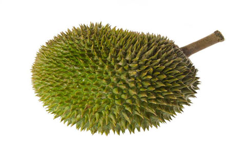 东南亚榴莲